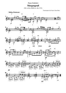 No.8 Morgengruss: Für Gitarre by Franz Schubert