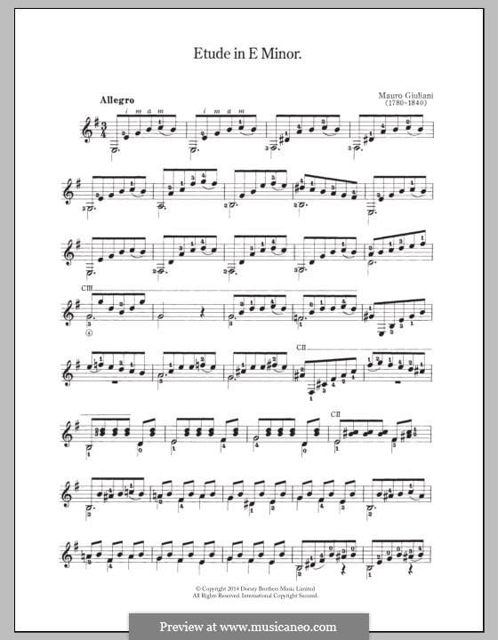 Vierundzwanzig Etüden für Gitarre, Op.100: Etüde Nr.13 by Mauro Giuliani