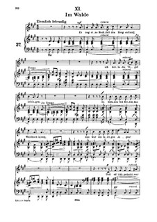 Nr.11 Im Walde: Für Mittelstimme und Klavier by Robert Schumann