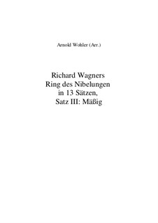 Fragmente (in 13 Sätzen): Satz III: Mäßig by Richard Wagner