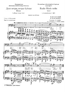 Es stürmen die Winde: Russische und deutsche Texte by Modest Mussorgski