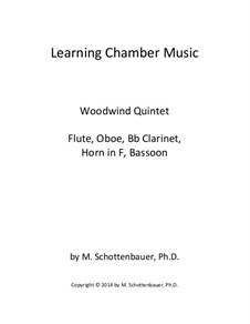 Learning Chamber Music: Woodwind quintet by Michele Schottenbauer