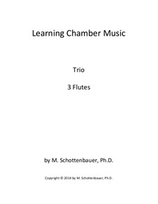 Learning Chamber Music: Flute trio by Michele Schottenbauer
