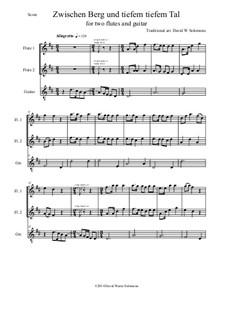 Zwischen Berg und tiefem tiefem Tal: For two flutes and guitar by folklore