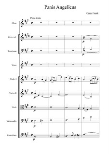 Panis angelicus: For solo and symphonic orchestra by César Franck