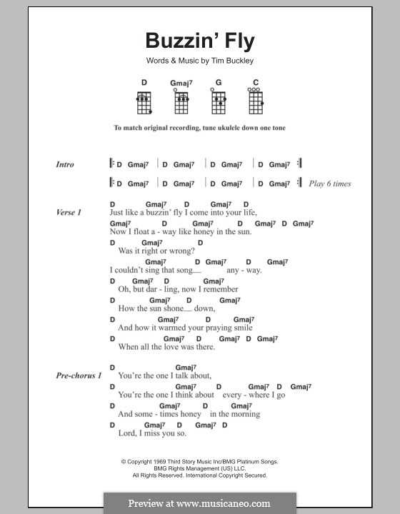 Buzzin' Fly: Für Ukulele by Tim Buckley