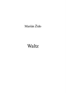 Waltz: Walzer by Majo Žido
