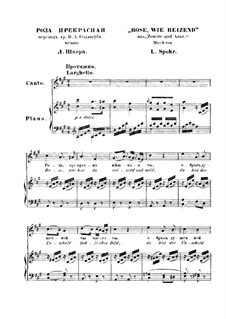 Zemire und Azor, WoO 52: Rose, wie reizend, für Stimme und Klavier by Louis Spohr