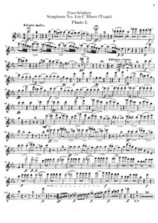 Sinfonie Nr.4 in c-Moll 'Tragische', D.417: Flötenstimme by Franz Schubert