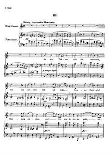 Nr.3 An die Türen will ich schleichen: A-moll by Franz Schubert
