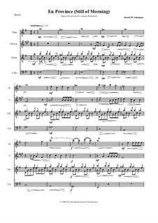 En Province (Up Country): For flute, clarinet, cello and guitar by David W Solomons