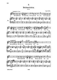Lieder für Stimme und Klavier: Band I, Teil III by Franz Schubert