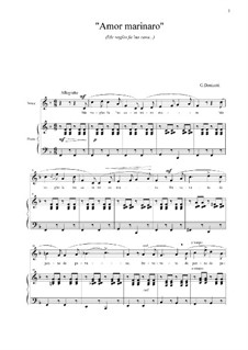 Me voglio fa 'na casa: F-Dur by Gaetano Donizetti