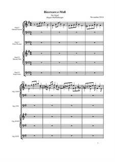 Ricercare e-Moll, Op.24: Ricercare e-Moll by Jürgen Pfaffenberger