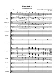 Schneeflocken: For symphonic orchestra by Reimund Merkens