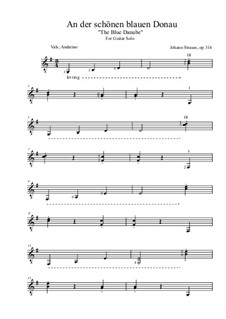 An der schönen blauen Donau, Op.314: Für Gitarre by Johann Strauss (Sohn)