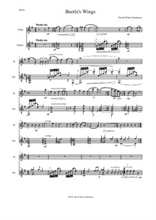 Beetle's Wings: Für Flöte und Gitarre by David W Solomons