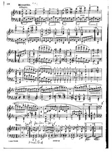 Sonate für Klavier Nr.19 in C-Moll, D.958: Teile III, IV by Franz Schubert