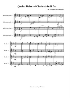 Queluz Belas - for 4 Clarinets in b-flat: Queluz Belas - for 4 Clarinets in b-flat by Anjos Teixeira