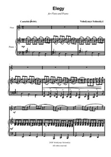 Elegy: Für Flöte und Piano by Vladimir Solonskiy