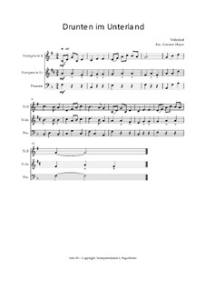 Drunten im Unterland: Trio Trompete, Trompete, Posaune, Op.030121 by folklore