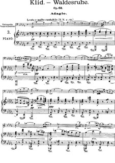 Aus dem Böhmerwald, B.133 Op.68: Nr.5 Waldesruhe, für Cello (oder Violine, oder Bratsche) und Klavier by Antonín Dvořák