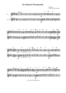 Fünf deutsche Volkslieder: Im schönsten Wiesengrunde, for flute, alto flute and guitar-chords by folklore
