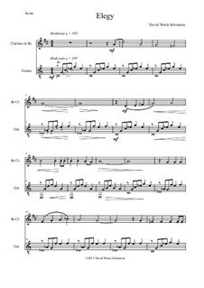 Elegy: Für Klarinette und Gitarre by David W Solomons