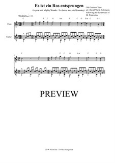Es ist ein Ros entsprungen: Für Flöte und Gitarre by Michael Praetorius