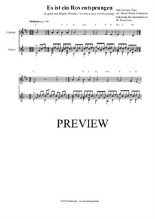 Es ist ein Ros entsprungen: Für Klarinette und Gitarre by Michael Praetorius