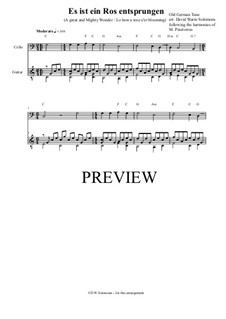 Es ist ein Ros entsprungen: Für Cello und Gitarre by Michael Praetorius