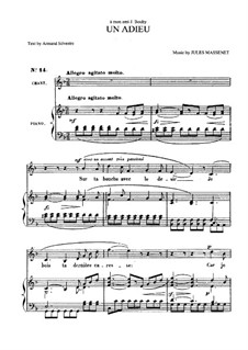 Un adieu: Für Mittelstimme und Klavier by Jules Massenet