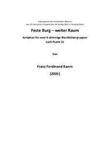 Feste Burg - weiter Raum: Feste Burg - weiter Raum by Franz Ferdinand Kaern