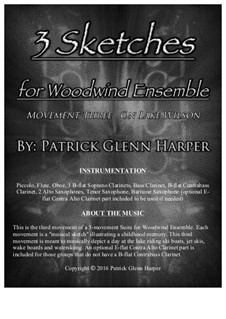 3 Sketches for Woodwind Ensemble: Movement 3 - On Lake Wilson by Patrick Glenn Harper