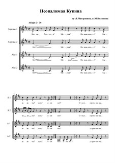 Burning bush: Burning bush by Ekaterina Materikina