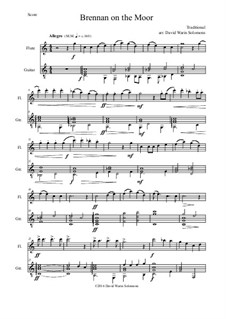 Brennan on the Moor: Für Flöte und Gitarre by folklore