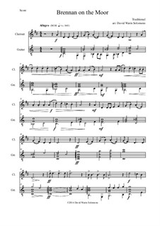Brennan on the Moor: Für Klarinette und Gitarre by folklore