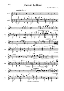 Dawn in the Room: Für Flöte und Gitarre by David W Solomons