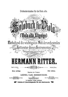Solobuch für Viola: Buch IV by Hermann Ritter