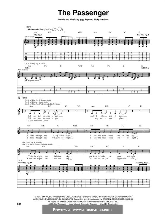 The Passenger: Für Gitarre mit Tabulatur by Ricky Gardiner