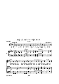 Vollständiger Satz: Klavierauszug mit Singstimmen by Robert Schumann