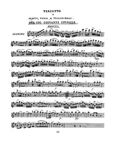 Terzett für Flöte, Bratsche und Cello in D-Dur: Terzett für Flöte, Bratsche und Cello in D-Dur by Johannes Matthias Sperger