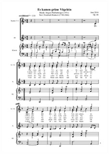 Es kamen grüne Vögelein, Op.46: Es kamen grüne Vögelein by Jürgen Pfaffenberger