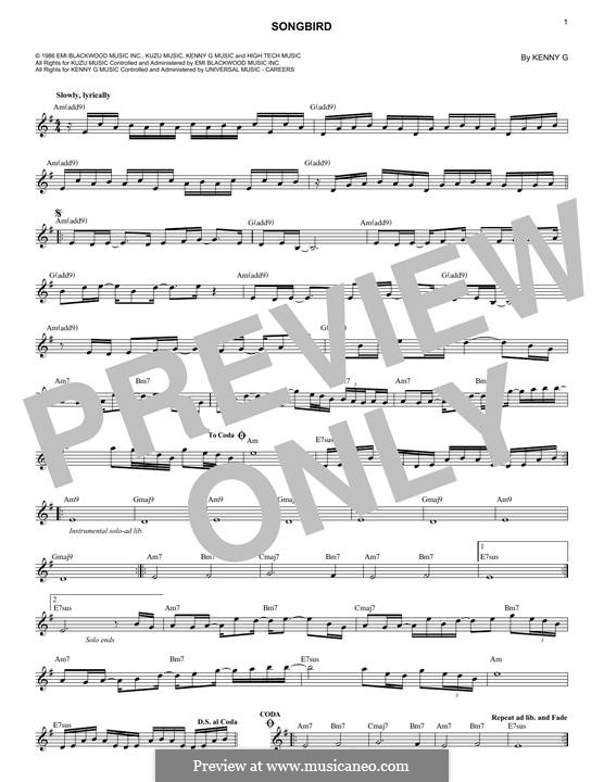 Songbird von Kenny G. Noten auf MusicaNeo