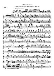 Vollständiger Konzert: Flötestimme by Ludwig van Beethoven