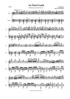 Variations on Au Ton Coenh: Für Flöte und Gitarre by folklore