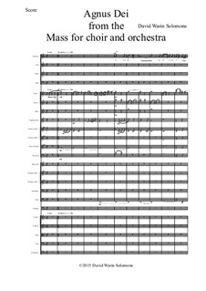 Agnus Dei from the Mass for choir and orchestra - score and parts: Agnus Dei from the Mass for choir and orchestra - score and parts by David W Solomons