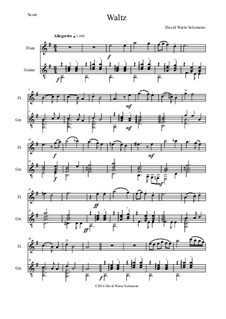 Waltz: Für Flöte und Gitarre by David W Solomons