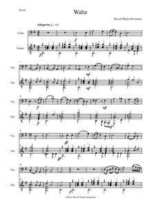 Waltz: Für Cello und Gitarre by David W Solomons