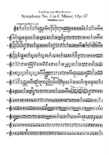 Vollständiger Sinfonie: Trompetenstimmen by Ludwig van Beethoven